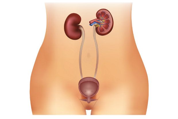 Urinary tract infection (UTI) Urinary tract infection (UTI)