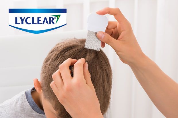 How To Recognise And Treat Headlice Chemist Druggist